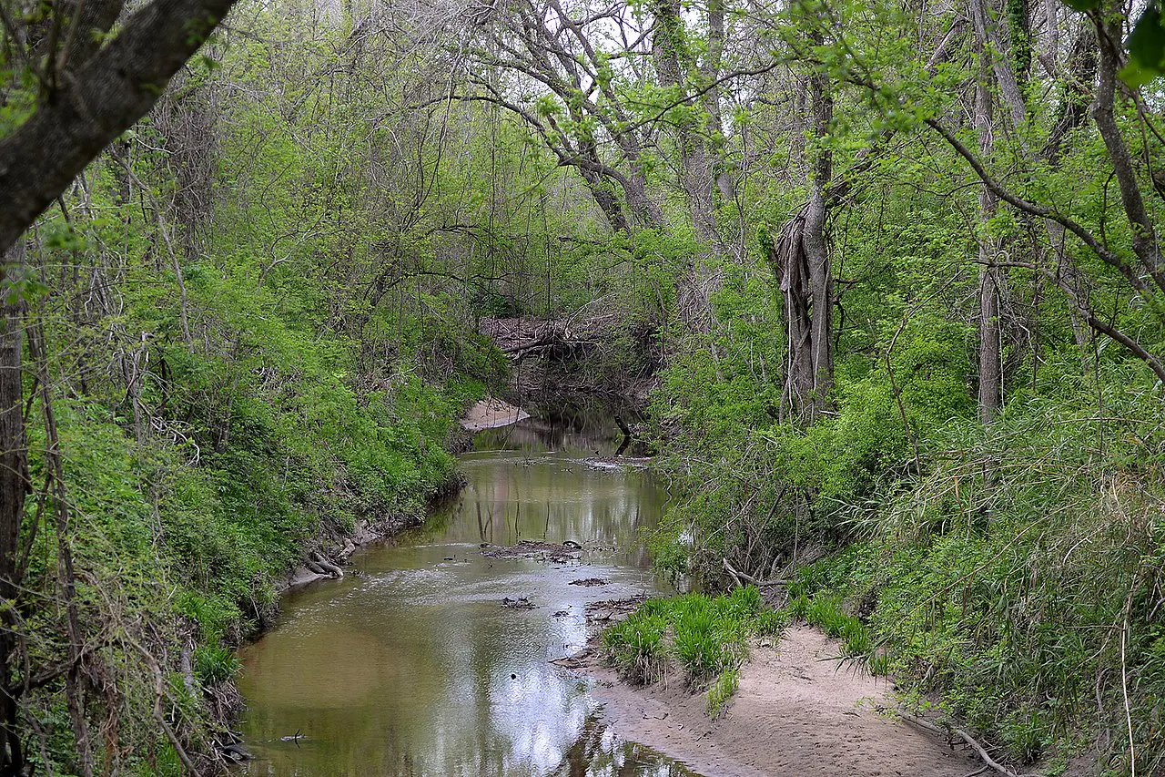 Texas Blackland Prairies One Earth